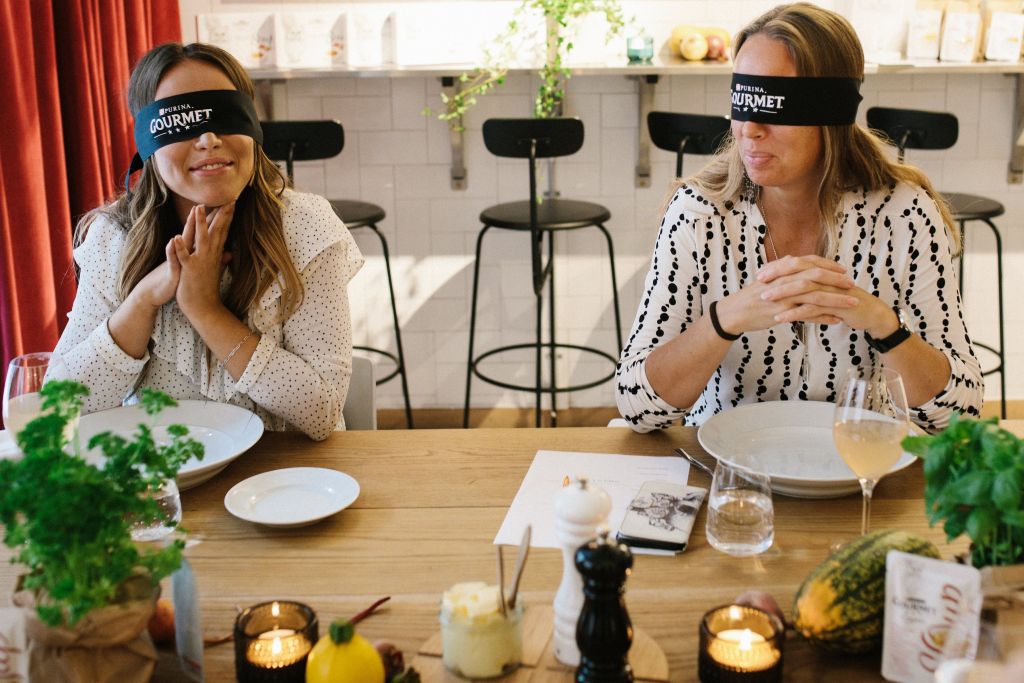 Purina-Gourmet-Event-290917-147