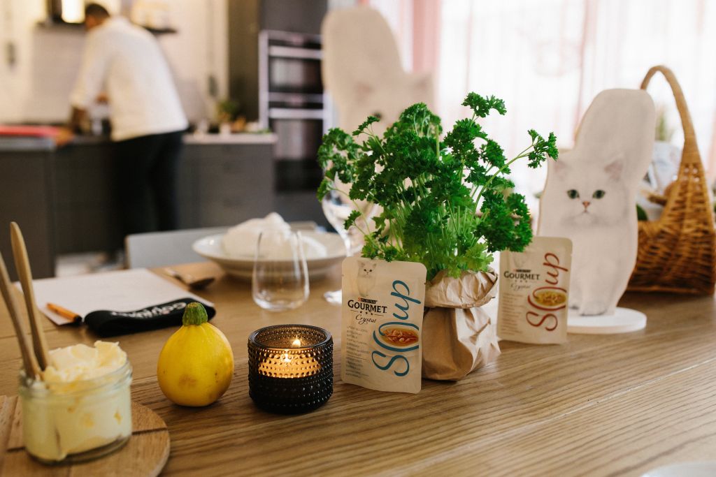 Purina-Gourmet-Event-290917-20