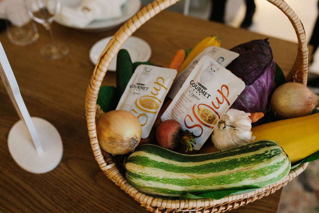 Purina-Gourmet-Event-290917-25