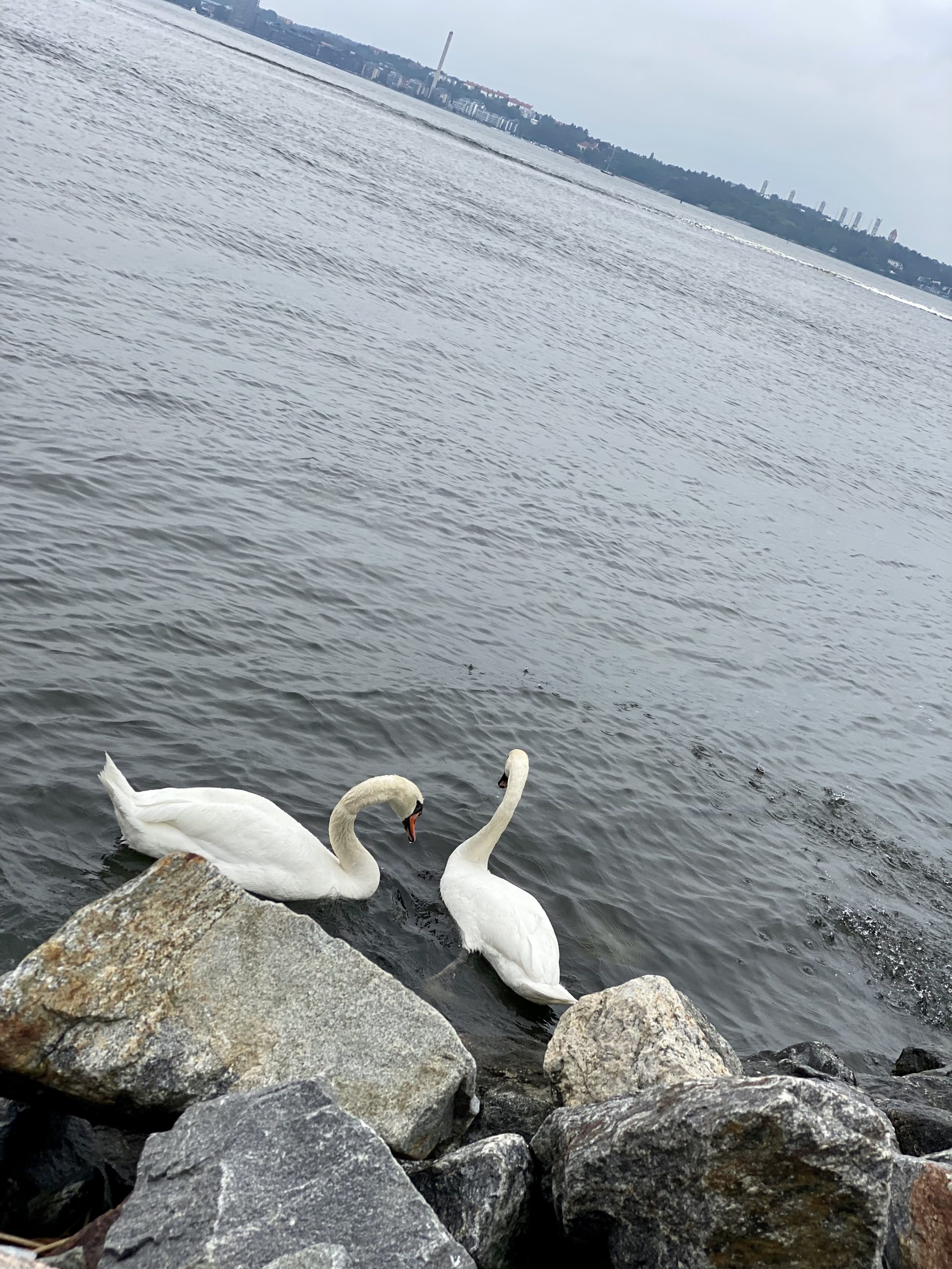 9FBCA727-2C7B-42DA-9887-FBB4C3AE8B9F