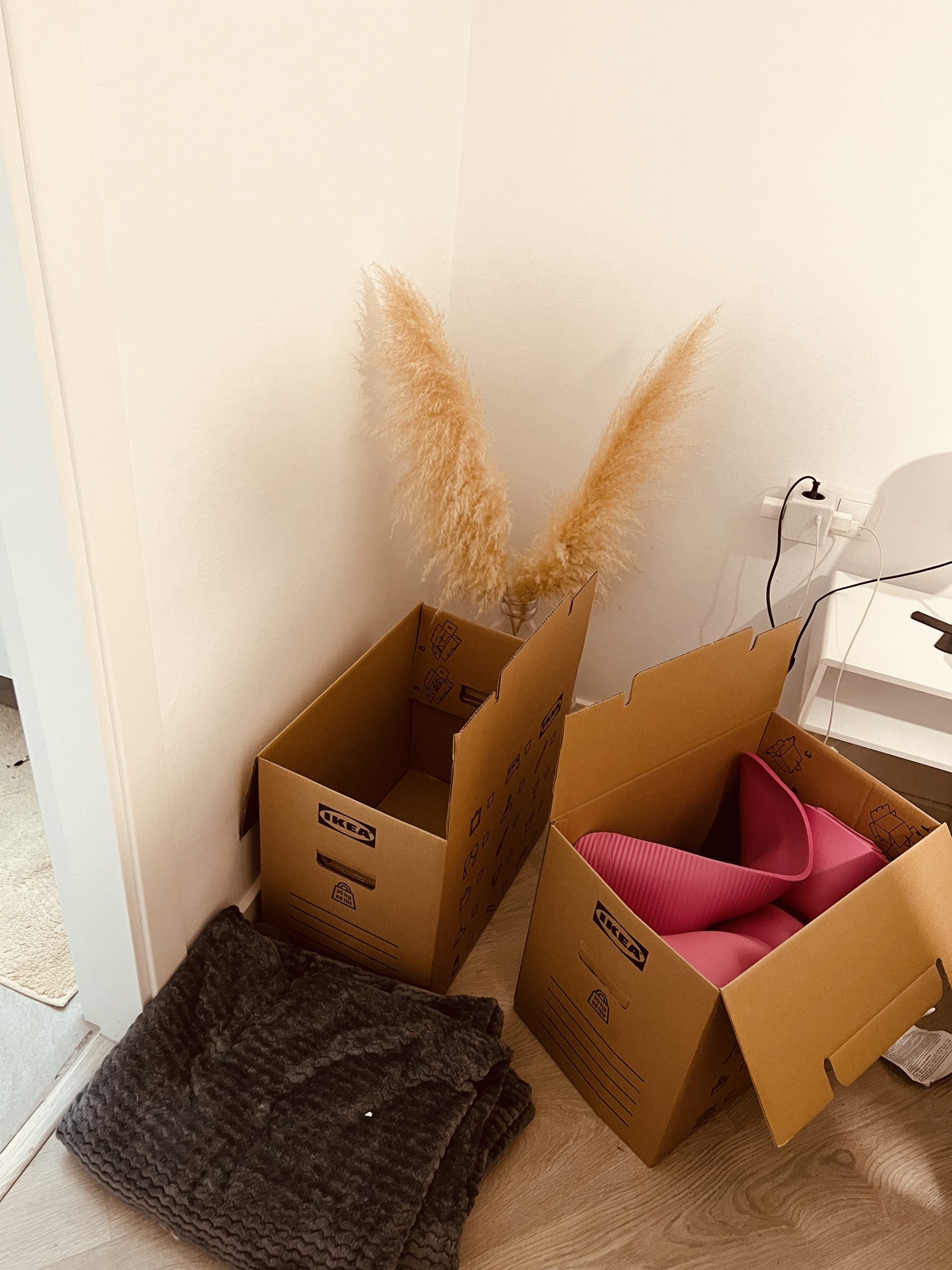 A56B72D9-02CF-41C3-92FC-1614F55E9DFF